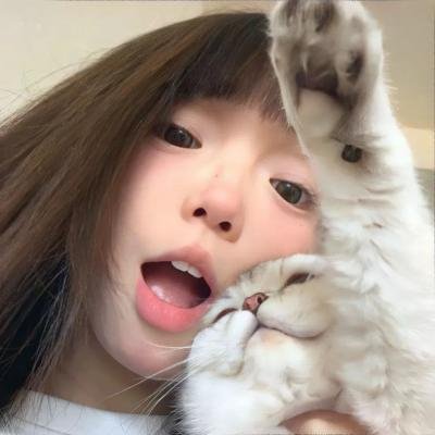 疯狂的旅行箱